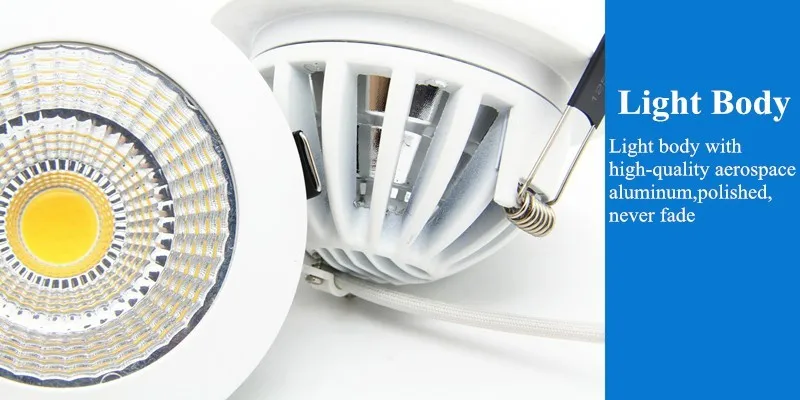 COB Downlight (24)