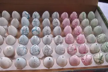 

Party Favors High quality dinosaur egg cracks grow eggs educational toys 300pcs