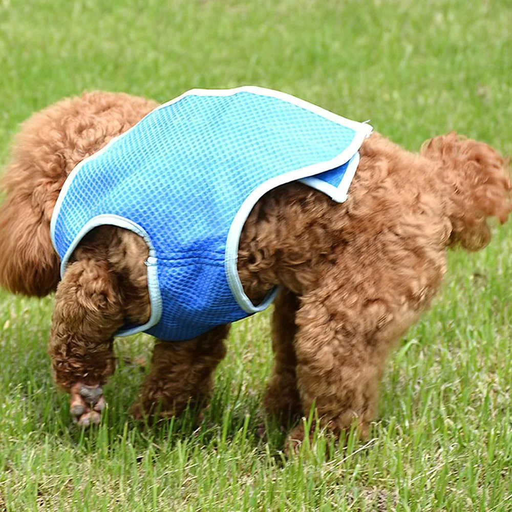Летний охлаждающий жилет для собак, одежда, охлаждающие поводки для собак, регулируемый ошейник для собак, жилет, пальто, БЫСТРОРАЗЪЕМНАЯ Одежда для собак