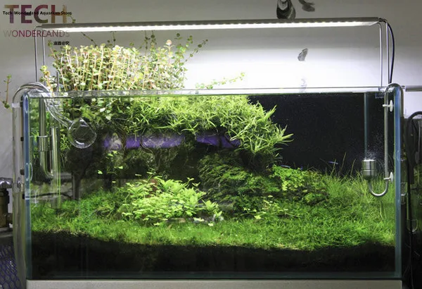 https://ae01.alicdn.com/kf/HTB1JI_0NXXXXXbxXXXXq6xXFXXX2/Rvs-beugel-voor-aquatische-hoge-LED-licht-lamp-aquarium-verlichting-houder-ondersteuning-gratis-verzending.jpg_640x640.jpg