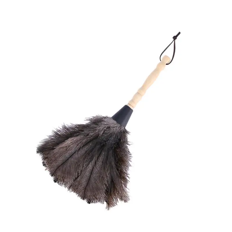 LUOEM пылеуловитель с деревянной ручкой инструмент для очистки