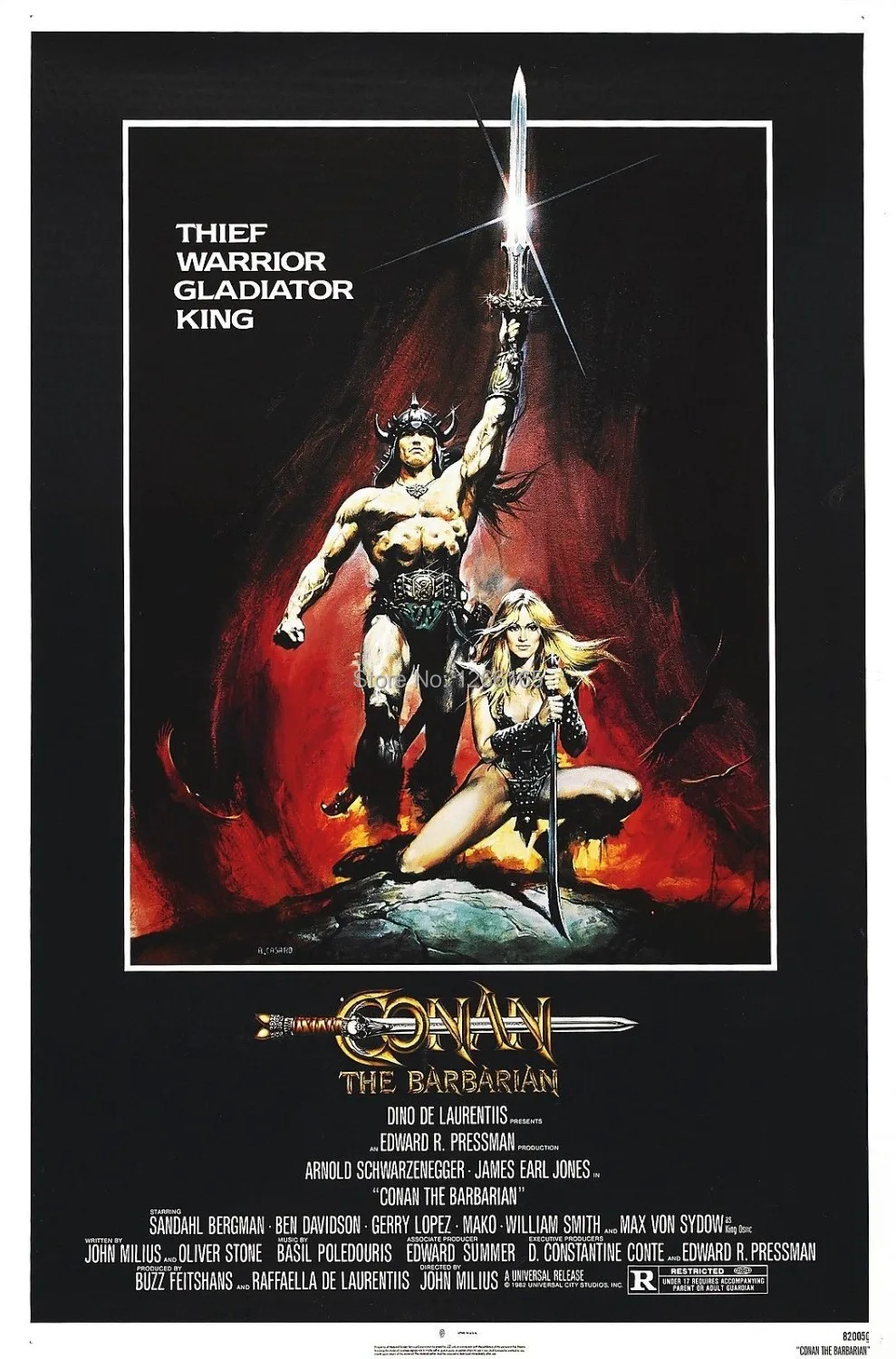 CONAN THE BARBARIAN Movie Poster RARE Arnold Schwarzenegger 