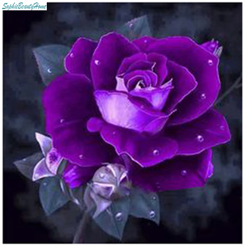 

Sophie beauty home 5D DIY diamond embroidery purple rose cross stitch mosaic home wall decoration