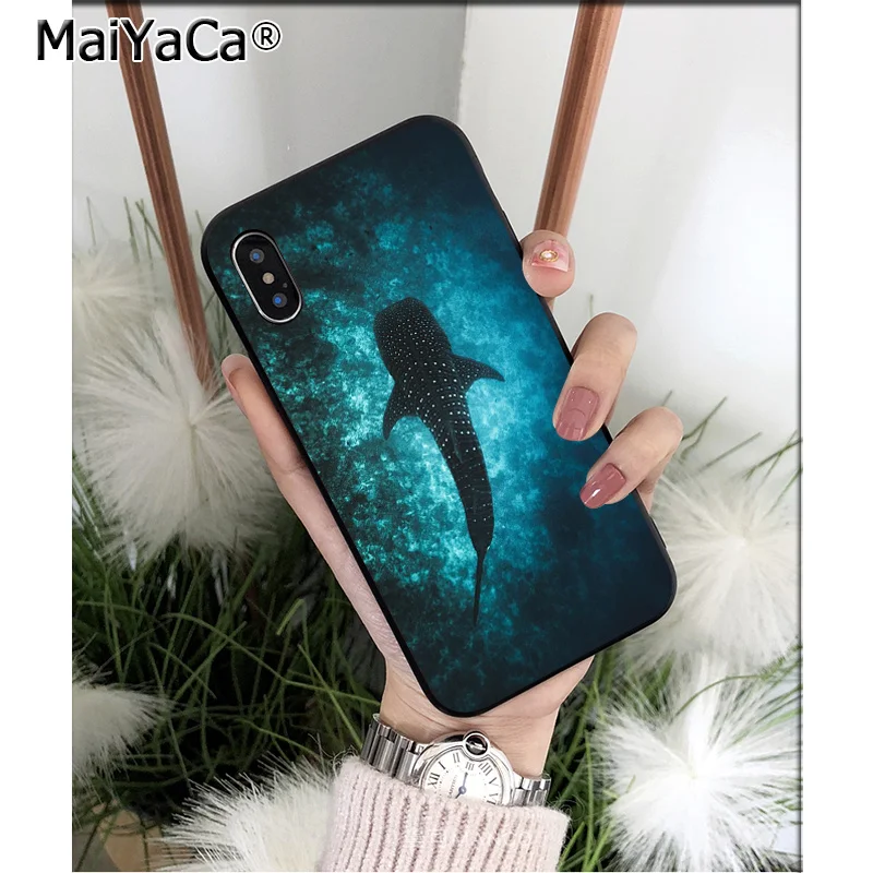 Ocean Whale Animal