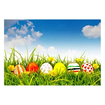 

Printed Photographic Easter Background Eggs Grass Flower Decoration Sky Children Custom Photography Backdrops for Photo Studio
