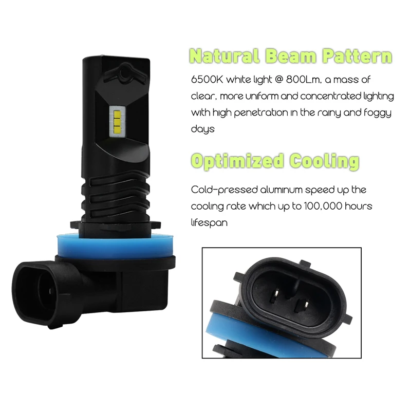 CHL148-H11 (2)