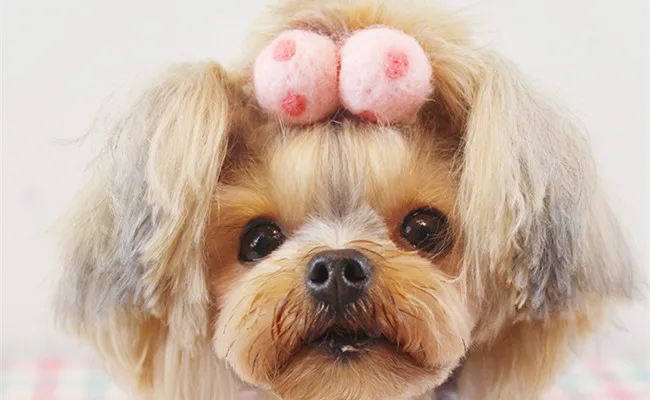 TB2FWiOeVXXXXaTXpXXXXXXXXXX_!!310305705