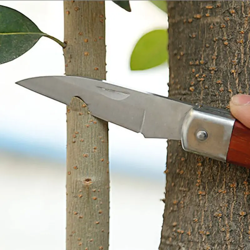 

Pruning Grafting Knife Professional Folding Garden Cutter Scissor Seedling Tools