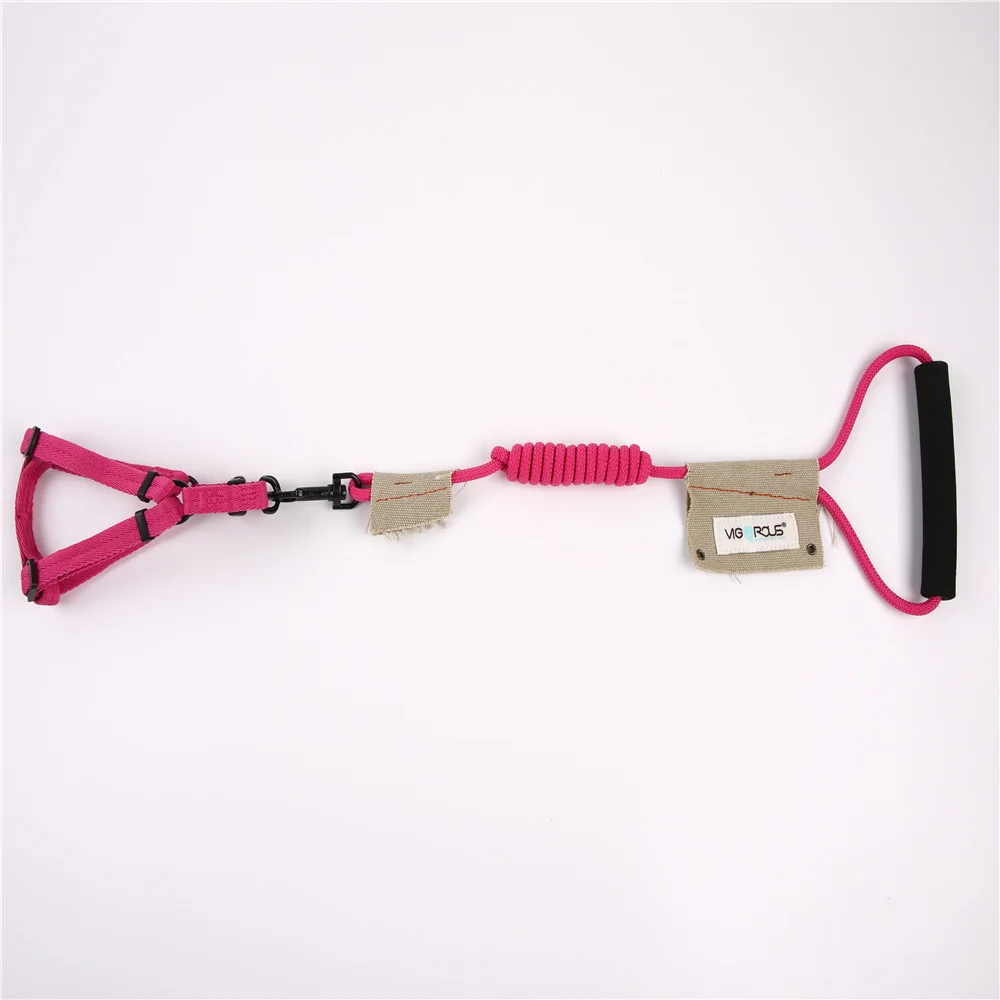dog leash and harness 4