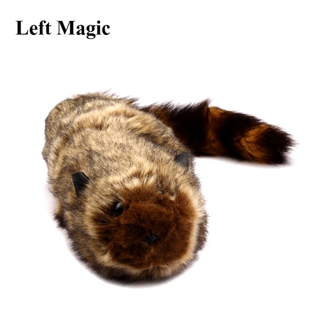 The Rocky Raccoon Magic Robbie Magic Tricks Stage Street Illusions Gimmick Accessories Prop Funny Appear Spring Animal Magie Toy 2