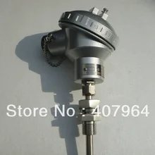 Класс Pt100 передатчик 0-300c с G1/" подвижная Нитки hereasu Марка Тонкий Плёнки элемент 4-20ma Выход