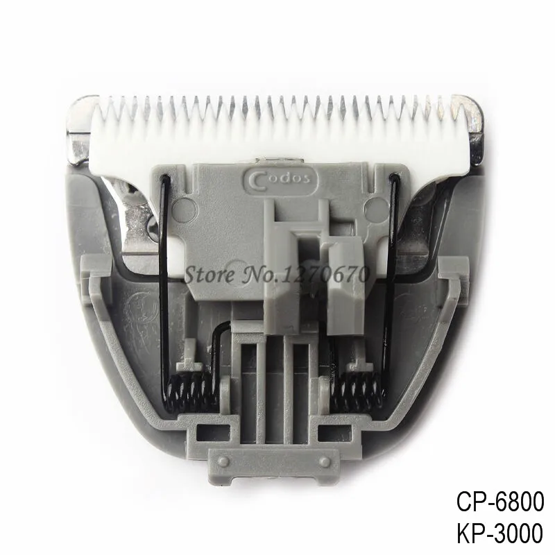CP-6800 (4)