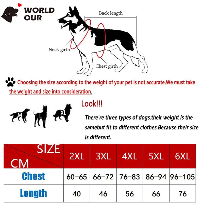 new year costume for dogs