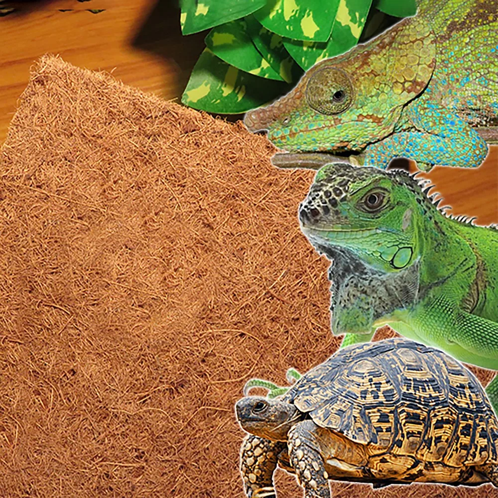 TB2GLzrcXXXXXXYXXXXXXXXXXXX_!!2196330504