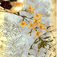 Горячая живой птицы напечатаны DIY цифровая картина маслом по номерам модная ручная живопись без рамки 40x50 см