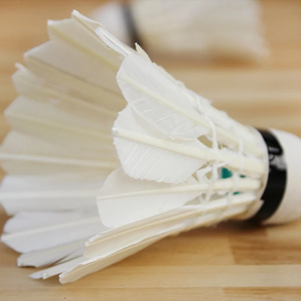 Relefree 5 Pcs Professional Badminton Balls Shuttlecocks White Goose Feather Training Badminton Ball Sports Accessories