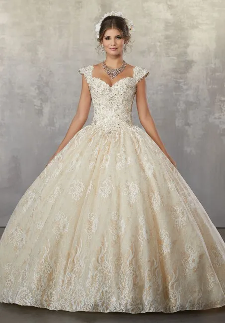 

New Arrival Vestidos de Quinceanera Ball Gown V Neck Lace Beaded Open Back Sweet 16 Girls Quinceanera Dresses 2019