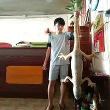 Имитация ящерицы Подушка Забавный Хамелеон плюшевая игрушка Gecko кукла тематическая вечеринка Хэллоуин украшенная плюшевая игрушка на Хэллоуин