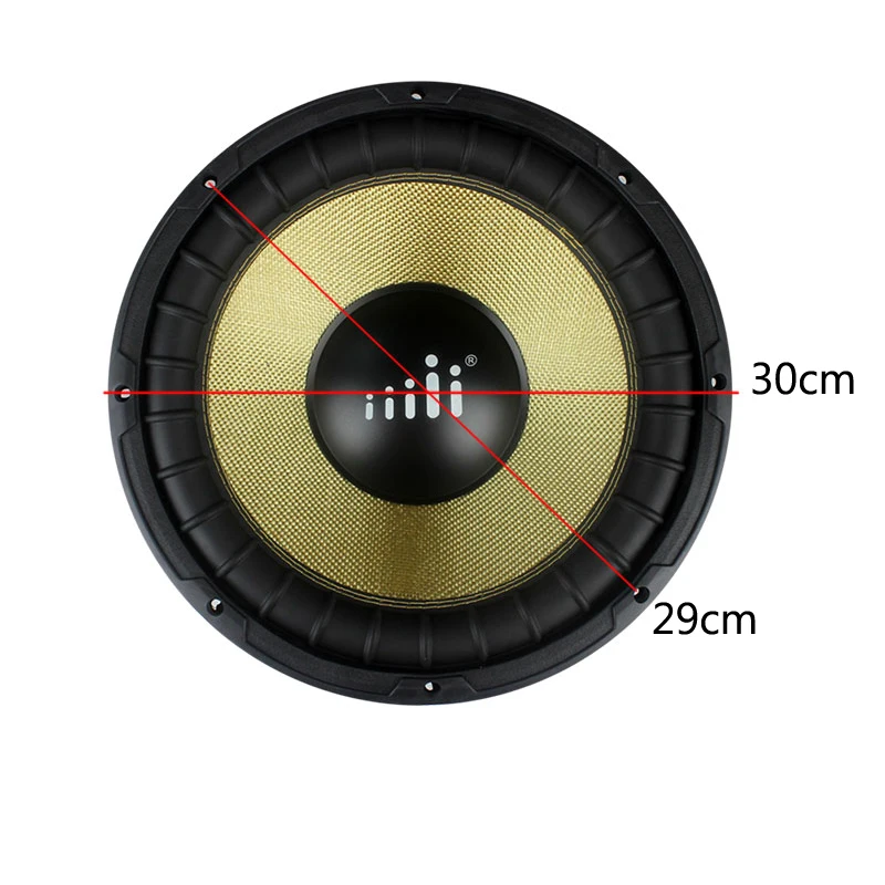 12 inch 250 watt speaker