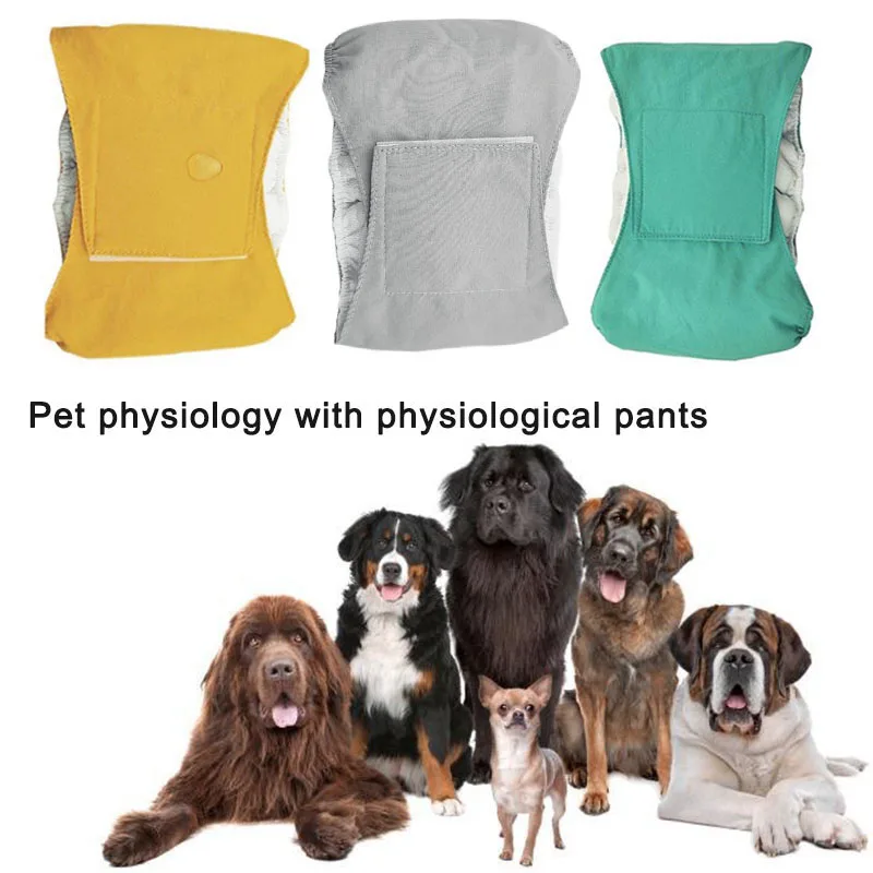 

Reusable Male Pet Dog Nappy Pants Simple Menstrual Sanitary Diaper Pets Supply GHS99