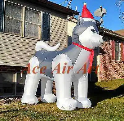 10ft holiday air blown husky dog Christmas inflatable wearing santa hat
