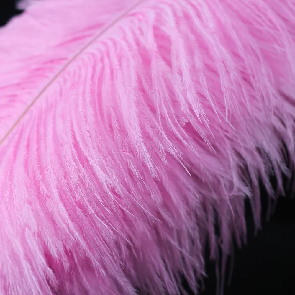 Розовые перья Розовые перья