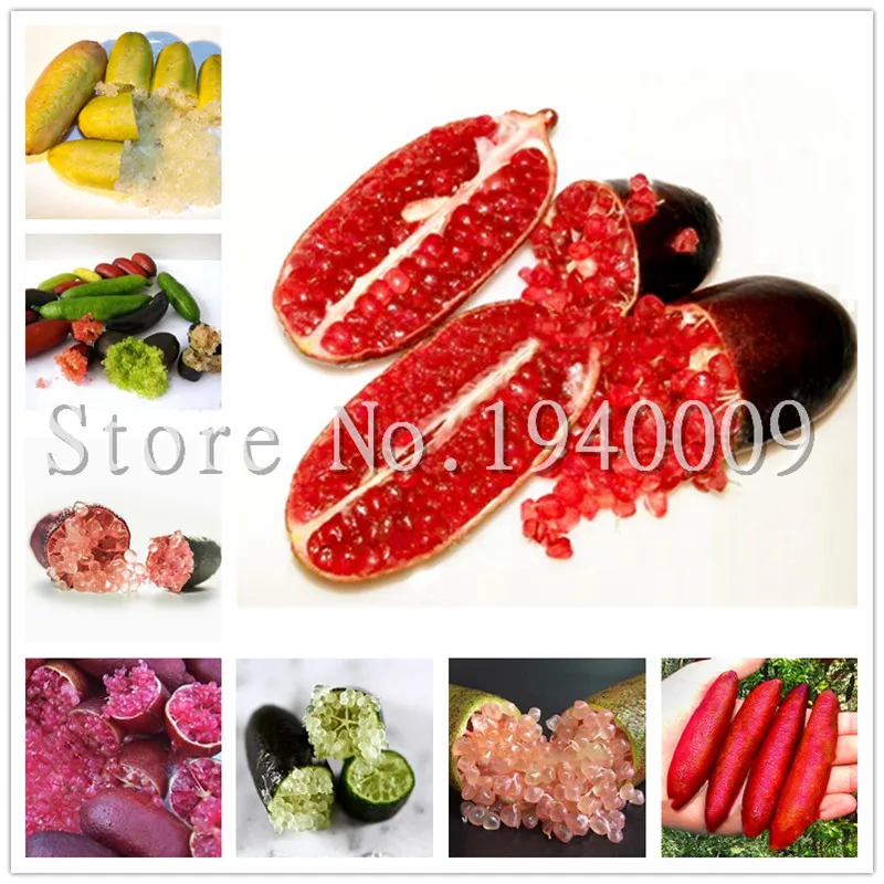 

50 pcs Rare Australian Finger Orange Citrus Bonsai Blood Lime Bonsai Delicious Pomegranate Fruit Tree Bonsai DIY Home Garden