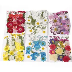 1 коробка 3 Mix Стиль сушеные цветы украшения натуральный наклейка в виде цветка 3D сухой для маникюра ногтей наклейки эпоксидной формы DIY