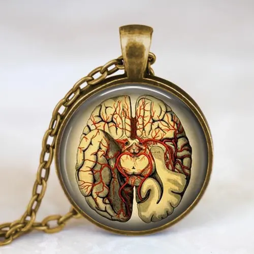 

New Vintage Steampunk Jewelry Anatomical Brain Necklace Pendant Round Gothic Necklaces Science Biology Medical Student Gift HZ1