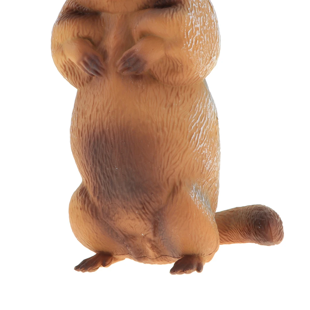 2pcs Simulation Wildlife Animal Model Figurine Kids Science & Nature Toy Collection Home Decoration Party Favors- Marmot