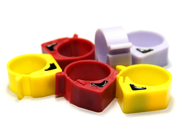 Big Birds Rings (2)