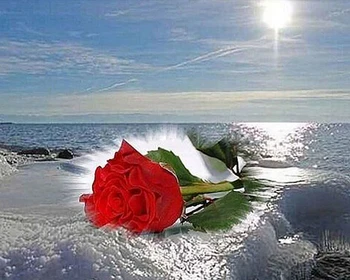 

Diamond Hand Embroidery Rose Diamond Picture Pink Seascape Flower Clock Picture of numbers on canvas
