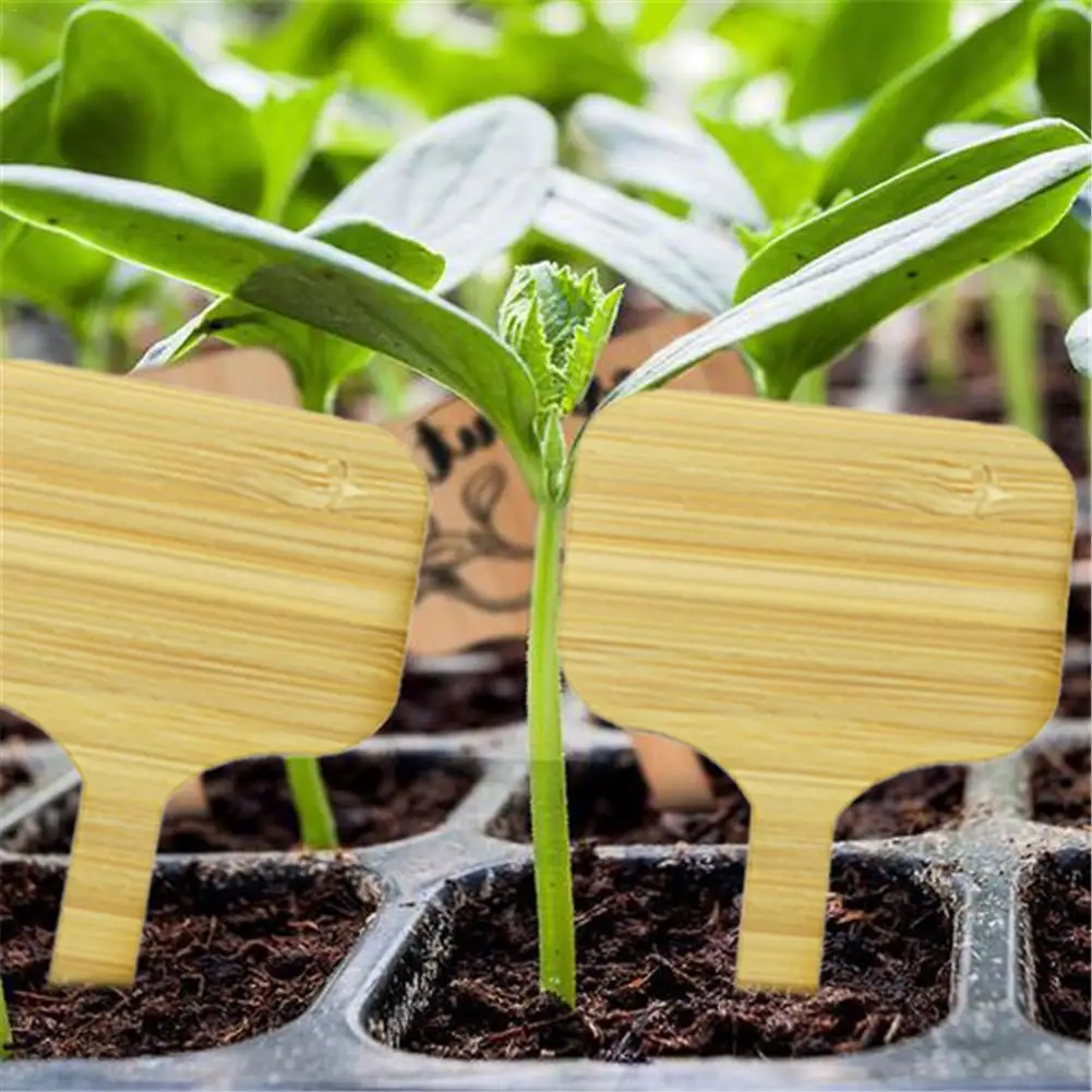 50pcs bamboo flower card plant label multi meat horticultural