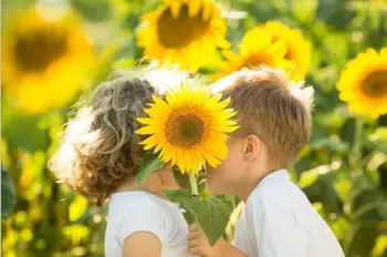 

Sunflower flowers secret The wooden puzzle 1000 pieces ersion jigsaw puzzle white card adult children's educational toys