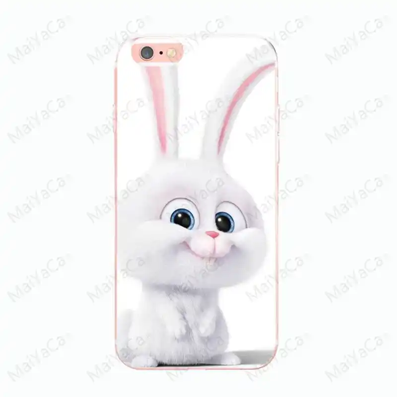 Detail Feedback Questions About Maiyaca The Secret Life Of Pets