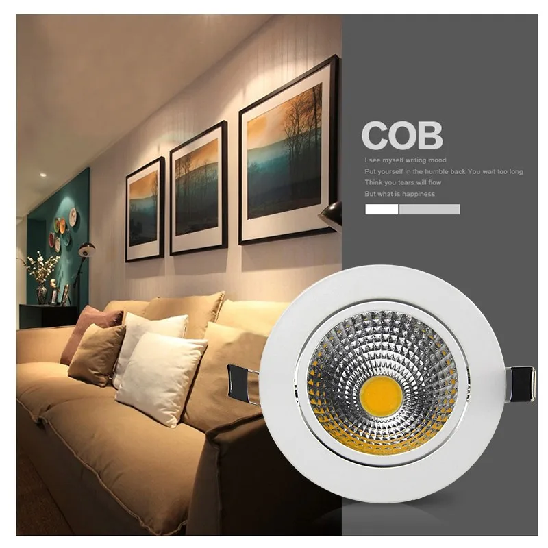 LED Downlight  (7)