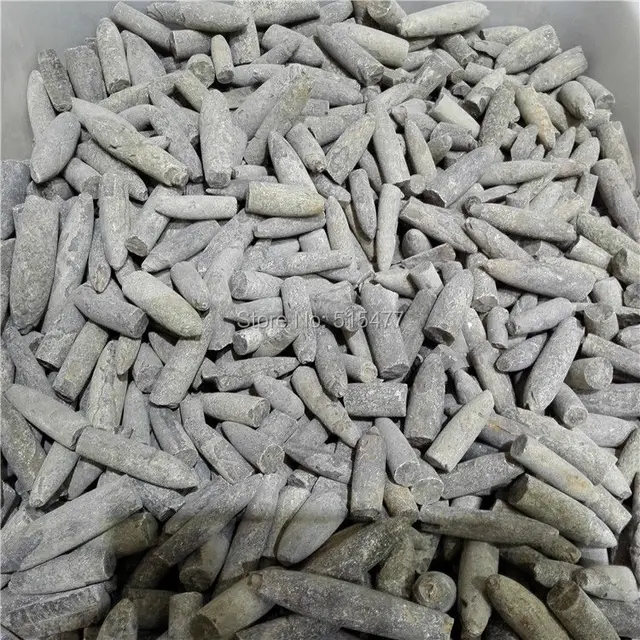 Cheap 1000g(2.2lb) Natural Rare The arrow fish fossil specimens (Belemnoidea) Cheap 1000g(2.2lb) Natural Rare The arrow fish fossil specimens (Belemnoidea)