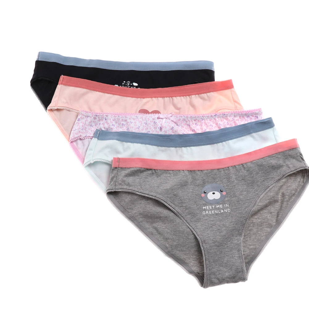 5 Pack Cotton Panties Womens Briefs Underwear Ladies Print Pants S M L XL New Calcinha Tanga Bragas Lingerie|cotton panties women|cotton pantieswomens briefs underwear - AliExpress 5 Pack Cotton Panties Womens Briefs Underwear Ladies Print Pants S M L XL New Calcinha Tanga Bragas Lingerie|cotton panties women|cotton pantieswomens briefs underwear - AliExpress