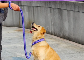 High Quality Upgraded color collar Large Dog German Shepherd walk the dog P chain necklet Pet For Medium and large Dogs 6