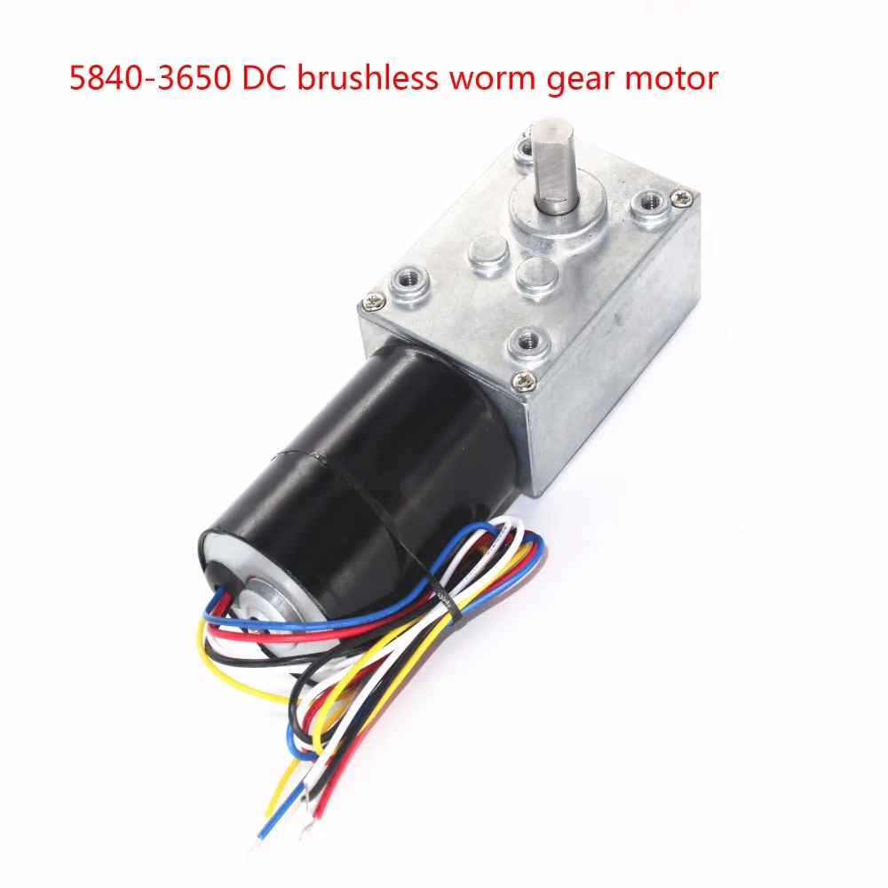 

5840-3650 Brushless DC Worm Gear Motor, 12V24V Brushless Motor, Self-locking Braking Motor