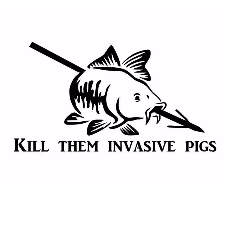 DCTAL  car Fishing Sticker car styling programa Catfish Hunter Pesca divertido Cuerpo Adhesivos Accesorios fishing decal  F2-34
