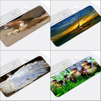 Mairuige Supper Big Table Mats Mousepad 900x400x2MM Animals Birds Mouse Pad Peacock or Eagle Nature Scenery Table Mats Pc Mat
Mairuige Supper Big Table Mats Mousepad 900x400x2MM Animals Birds Mouse Pad Peacock or Eagle Nature Scenery Table Mats Pc Mat