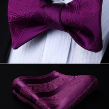 Для мужчин Тканые Вечерние свадебные фиолетовый Пейсли самостоятельно регулируемый галстук-бабочка Pocket Square Set# BP804PS лук галстук носовой платок комплект