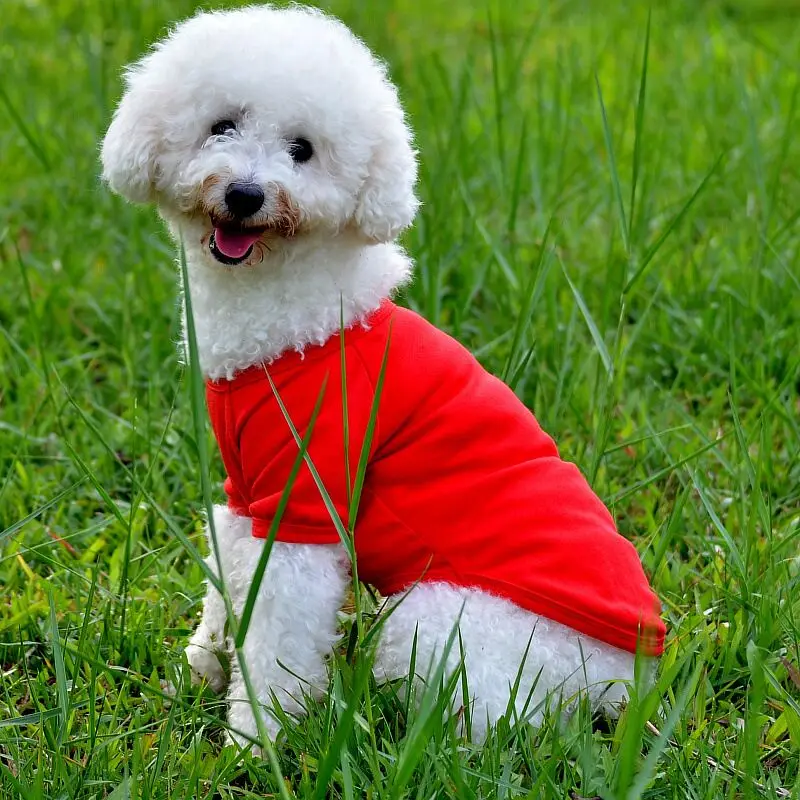 F09 Футболка Поло для собак летняя одежда для собак красивая одежда для собак Одежда для щенков - Цвет: red