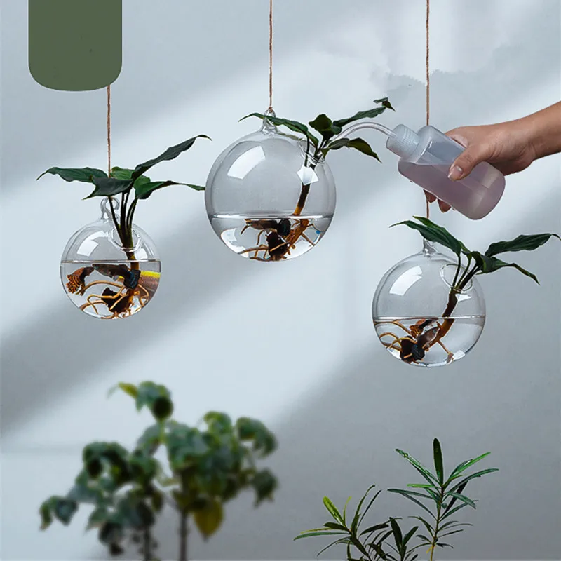 Стеклянный террариум ваза разного размера стеклянный аквариум украшение дома стеклянный аквариум