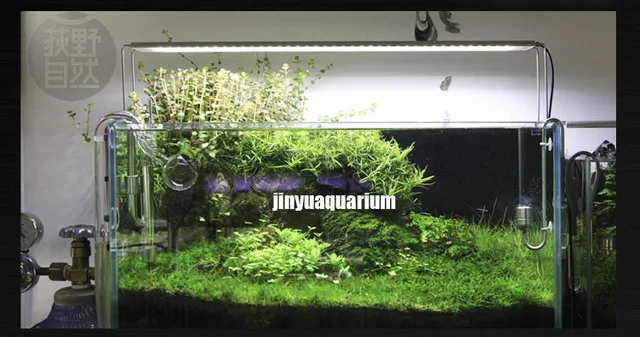 aquarium water testing app reef kinetics reefbot chemical