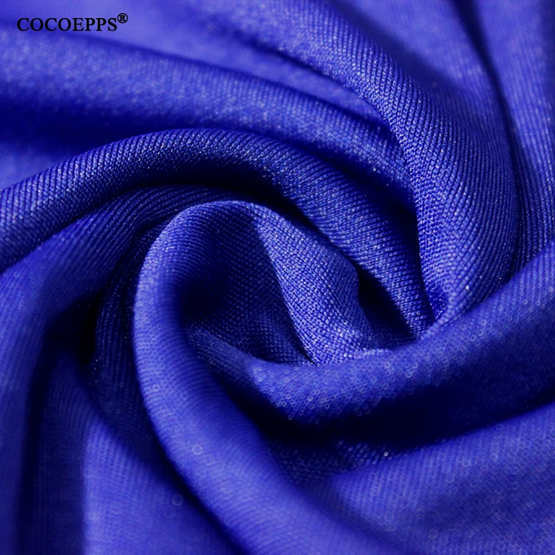COCOEPPS17