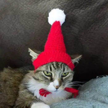 

Pet Dog pattern hats Handmade Crochet Knitted Cat Bonnet Hat Pet Santa Pom-Pom Cap Christmas Gifts for Small Dogs yorkie