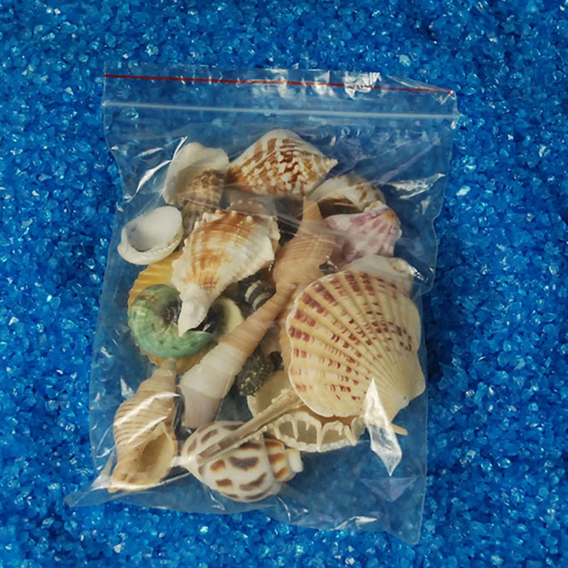 100g/120g Sea Shells Aquarium Decoration Style Mediterranean Shell / Conch Aquarium Parts Christmas/wall Hanging Decoration