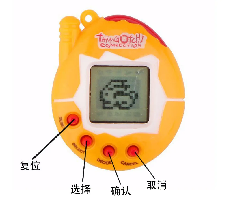 7538461492_743356253